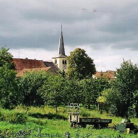 Pension "Am Tor Zum Mainbogen" Grettstadt Zewnętrze zdjęcie